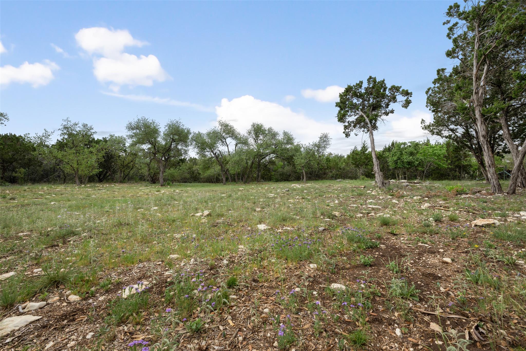 15901 Buddy Ave, Volente, TX 78641