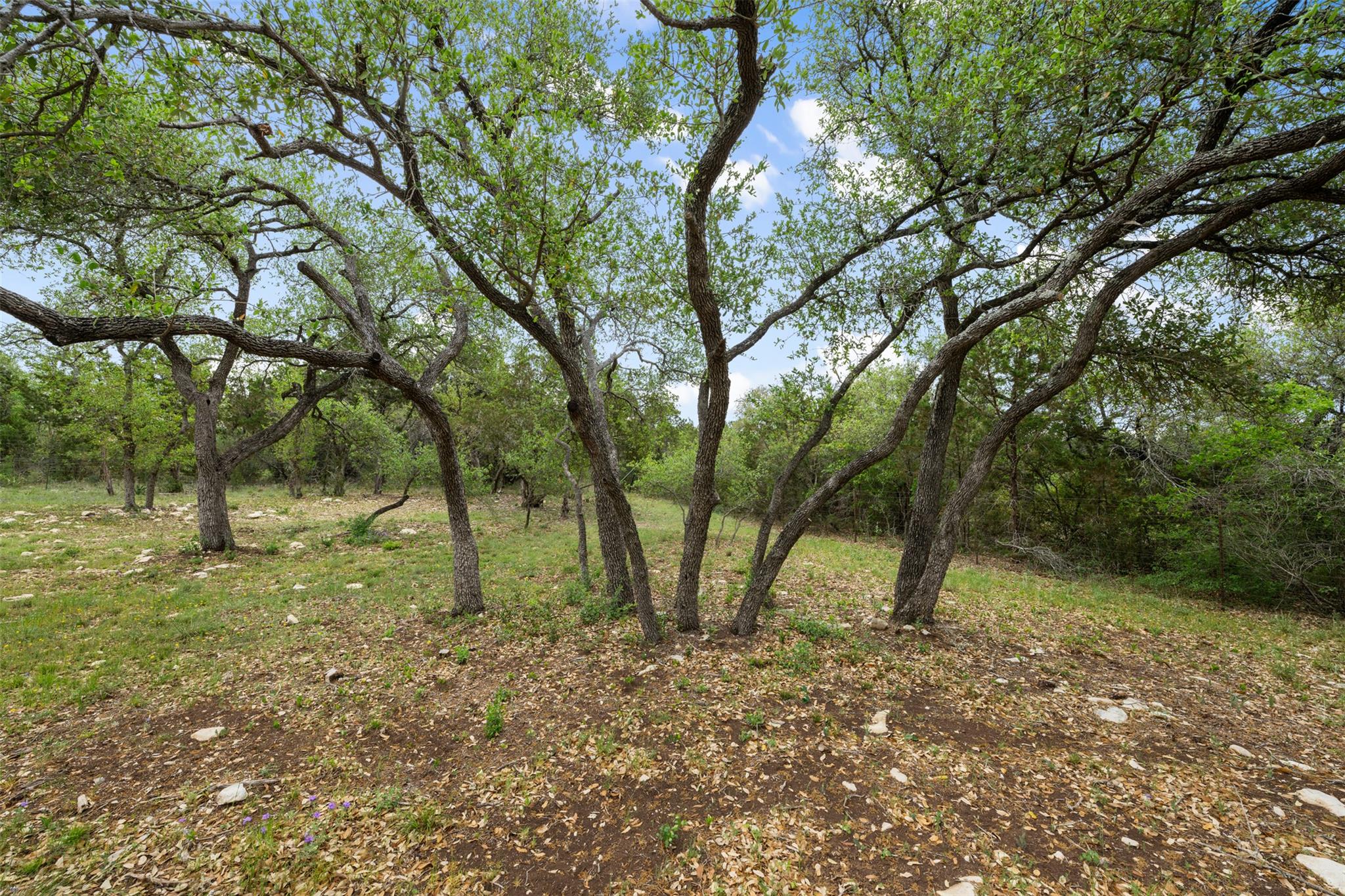 15901 Buddy Ave, Volente, TX 78641