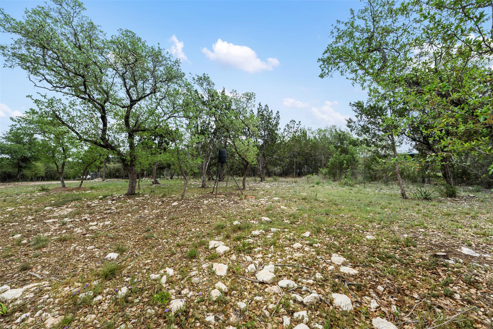 15901 Buddy Ave, Volente, TX 78641