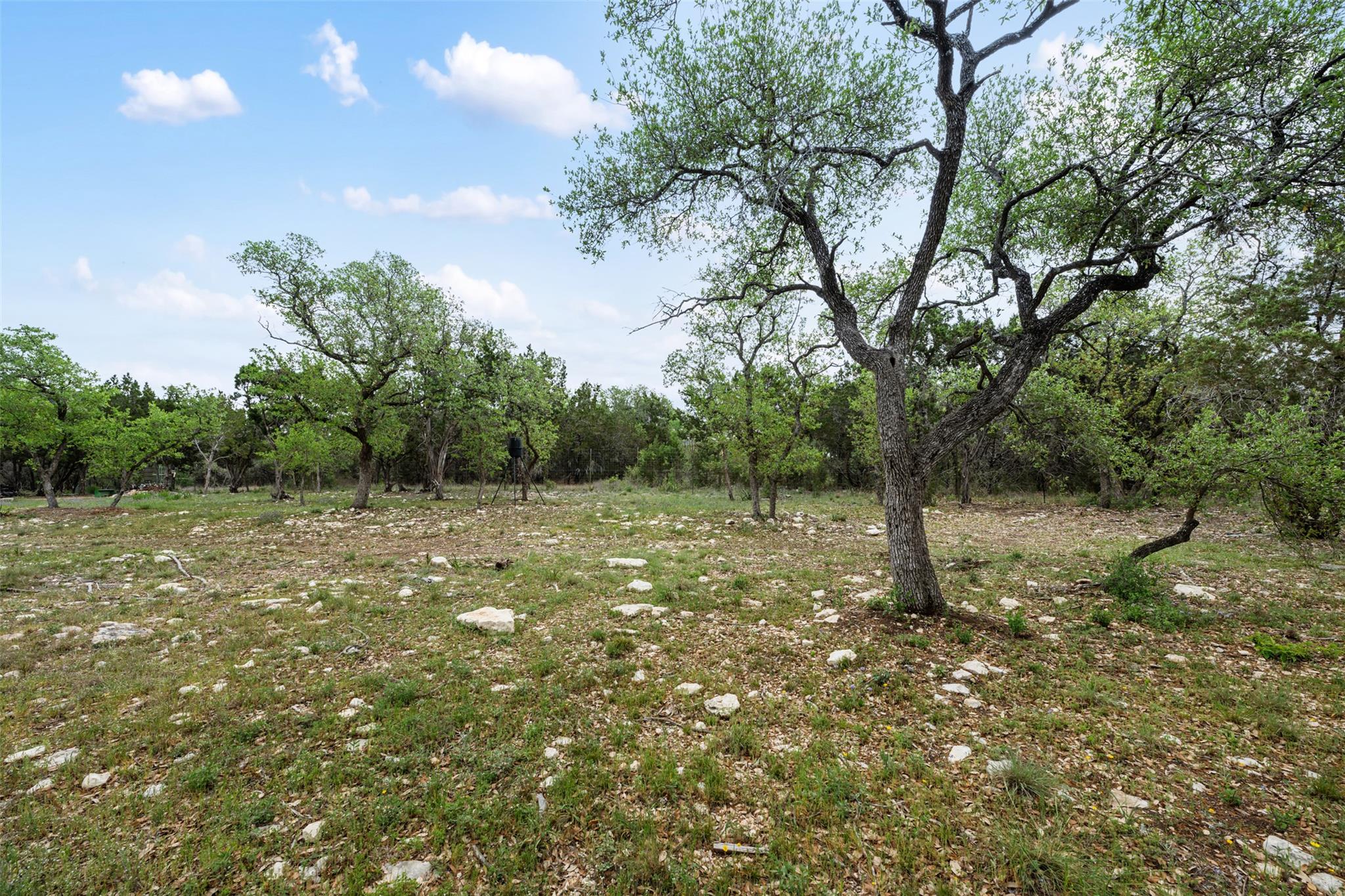 15901 Buddy Ave, Volente, TX 78641