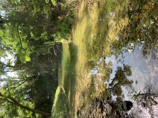 LOT 12 Arrowhead Trail, Killeen, TX 76549