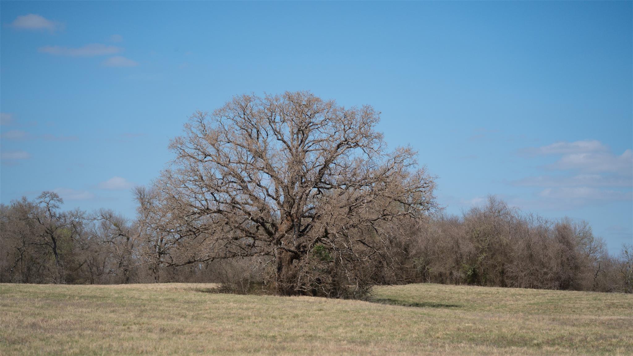 TBD E 21st St, Cameron, TX 76520