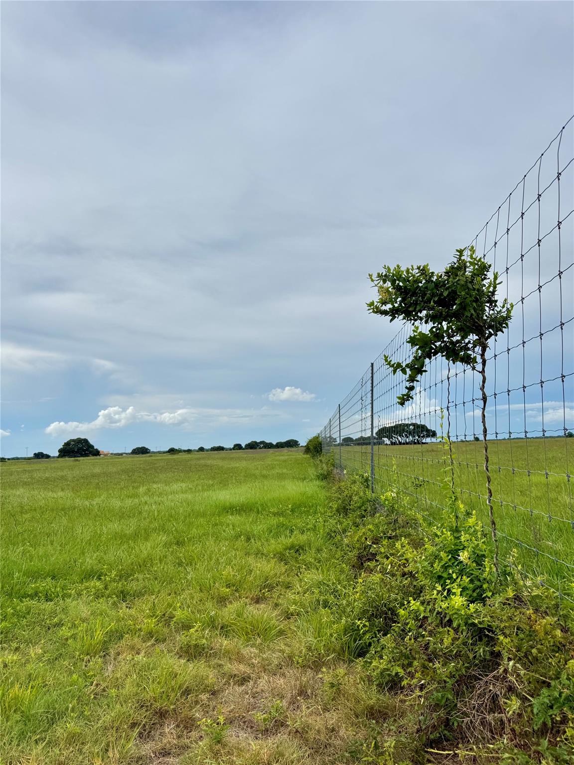 TBD Tract 105 Pin Tail Ln, Rock Island, TX 78934