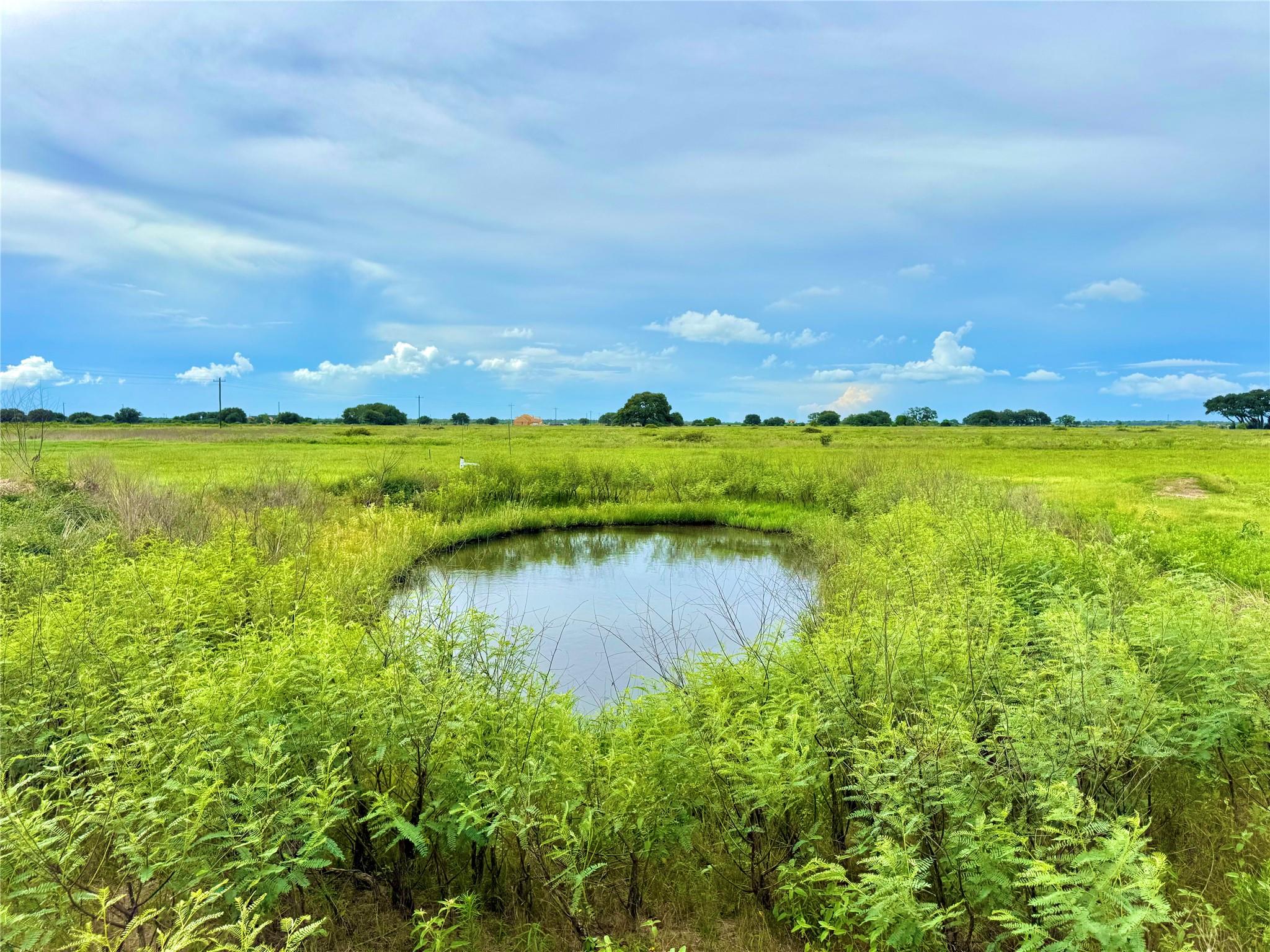 TBD Tract 105 Pin Tail Ln, Rock Island, TX 78934