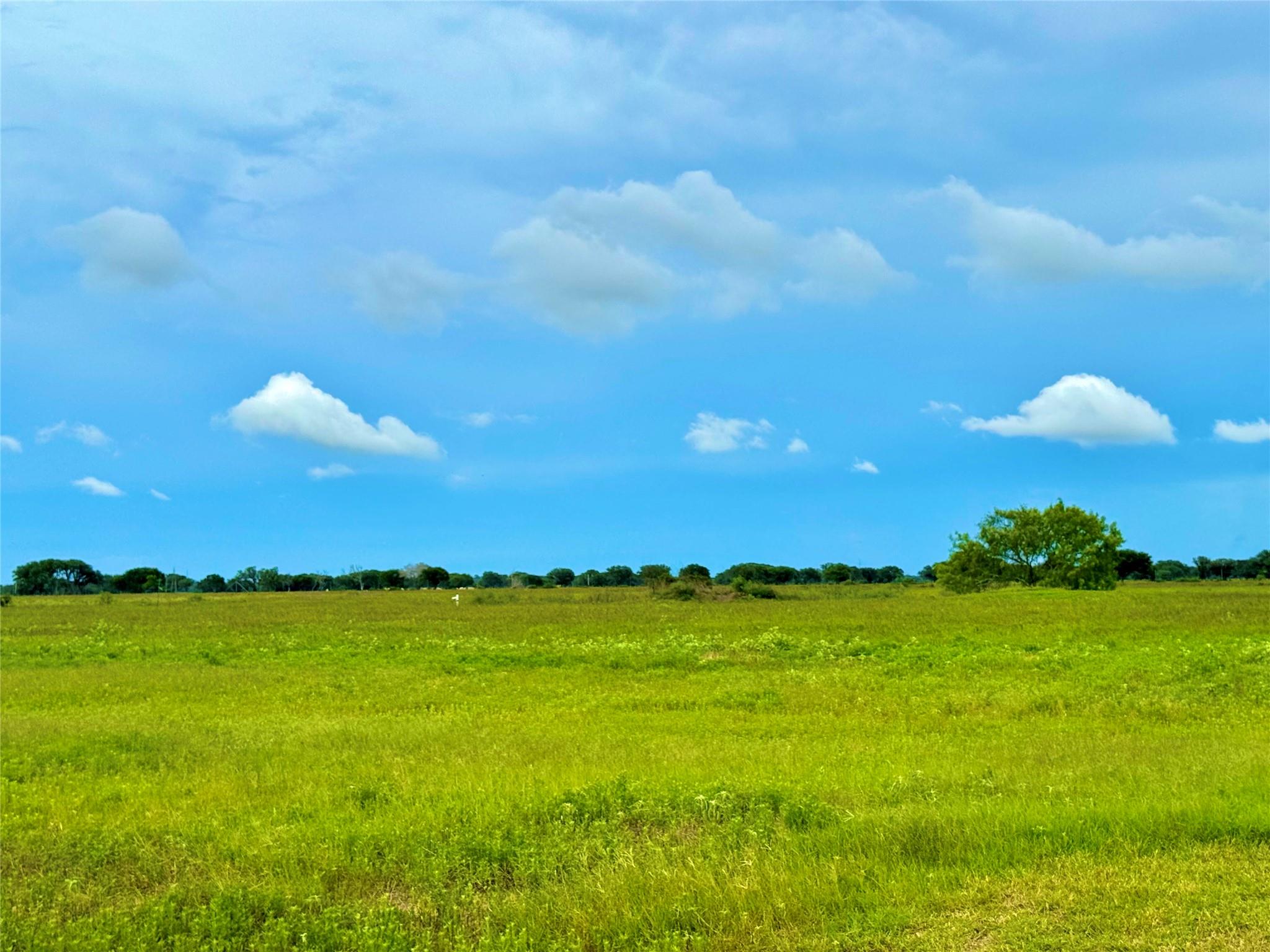 TBD Tract 105 Pin Tail Ln, Rock Island, TX 78934