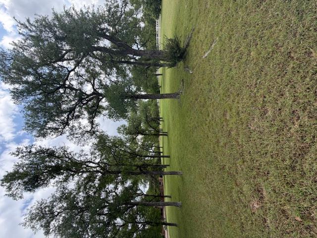 425 Crestwood Dr, Killeen, TX 76549