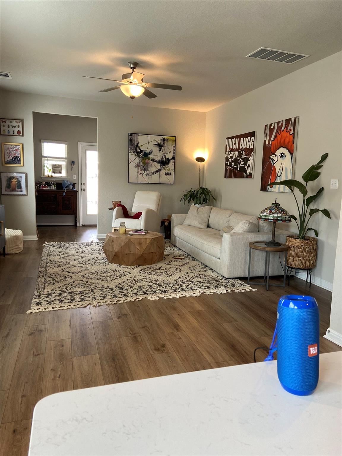 110 Oakdale Meadows Ln, Hutto, TX 78634