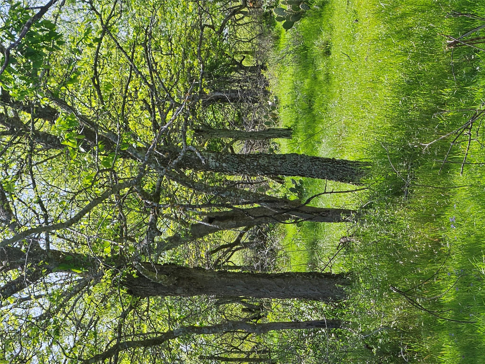 1988 CR 116 Rd, Rogers, TX 76569