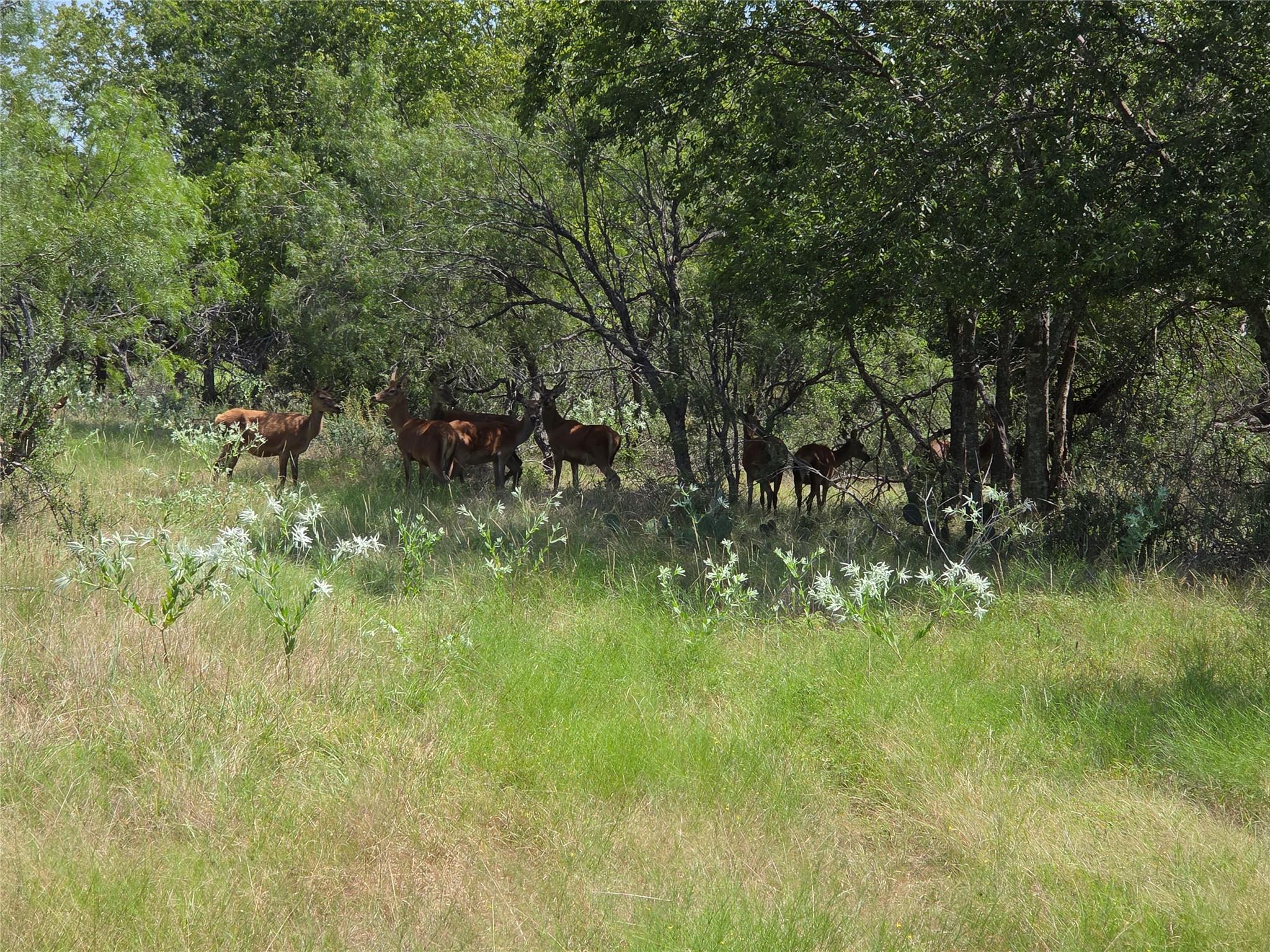 1988 CR 116 Rd, Rogers, TX 76569