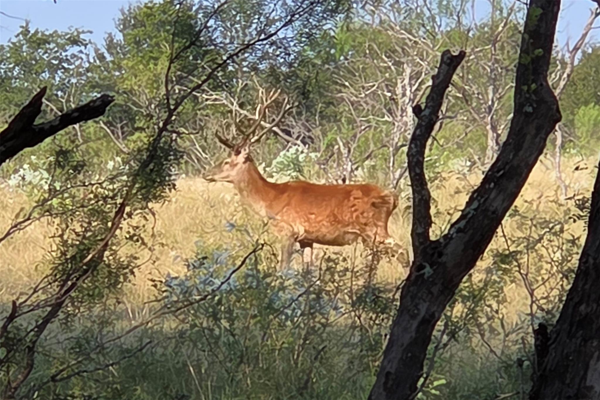 1988 CR 116 Rd, Rogers, TX 76569