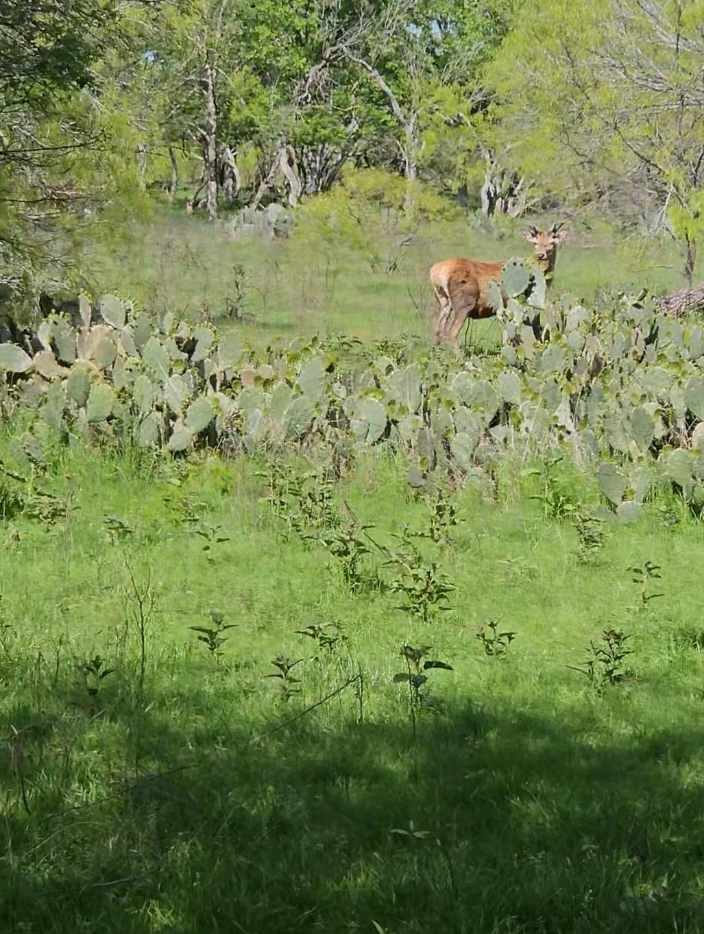 1988 CR 116 Rd, Rogers, TX 76569