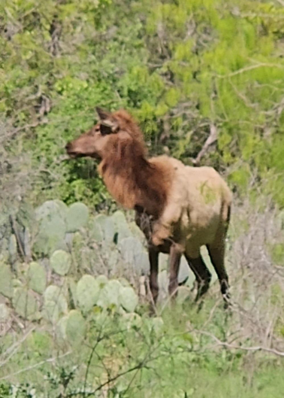 1988 CR 116 Rd, Rogers, TX 76569