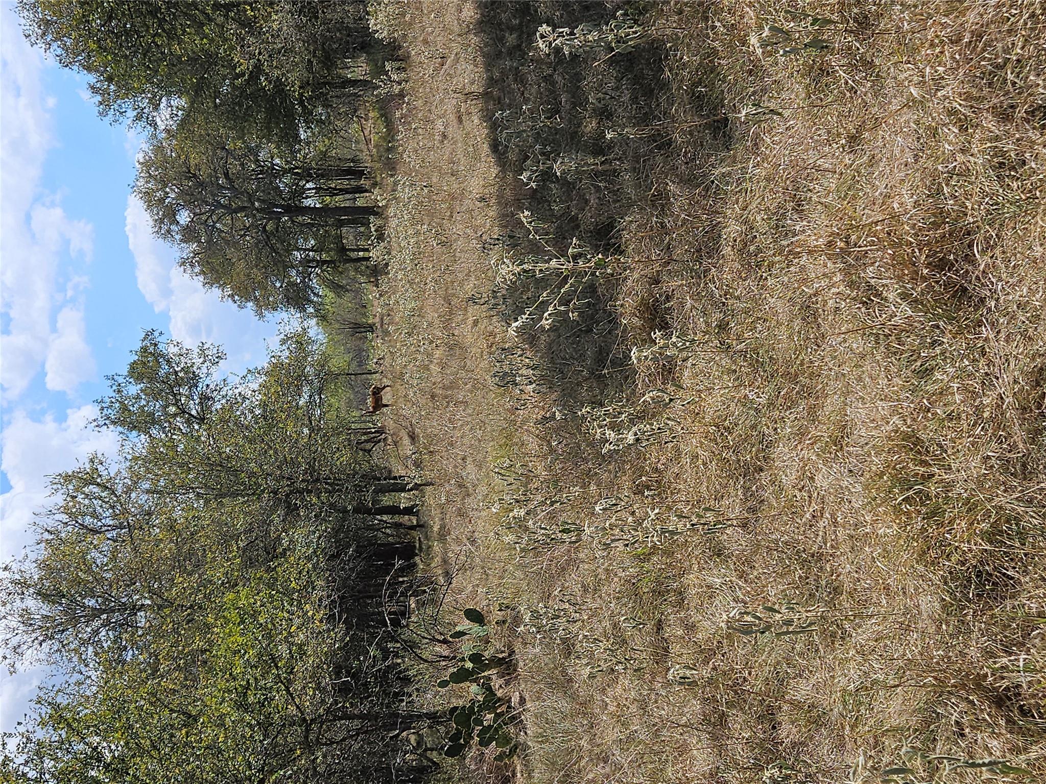 1988 CR 116 Rd, Rogers, TX 76569