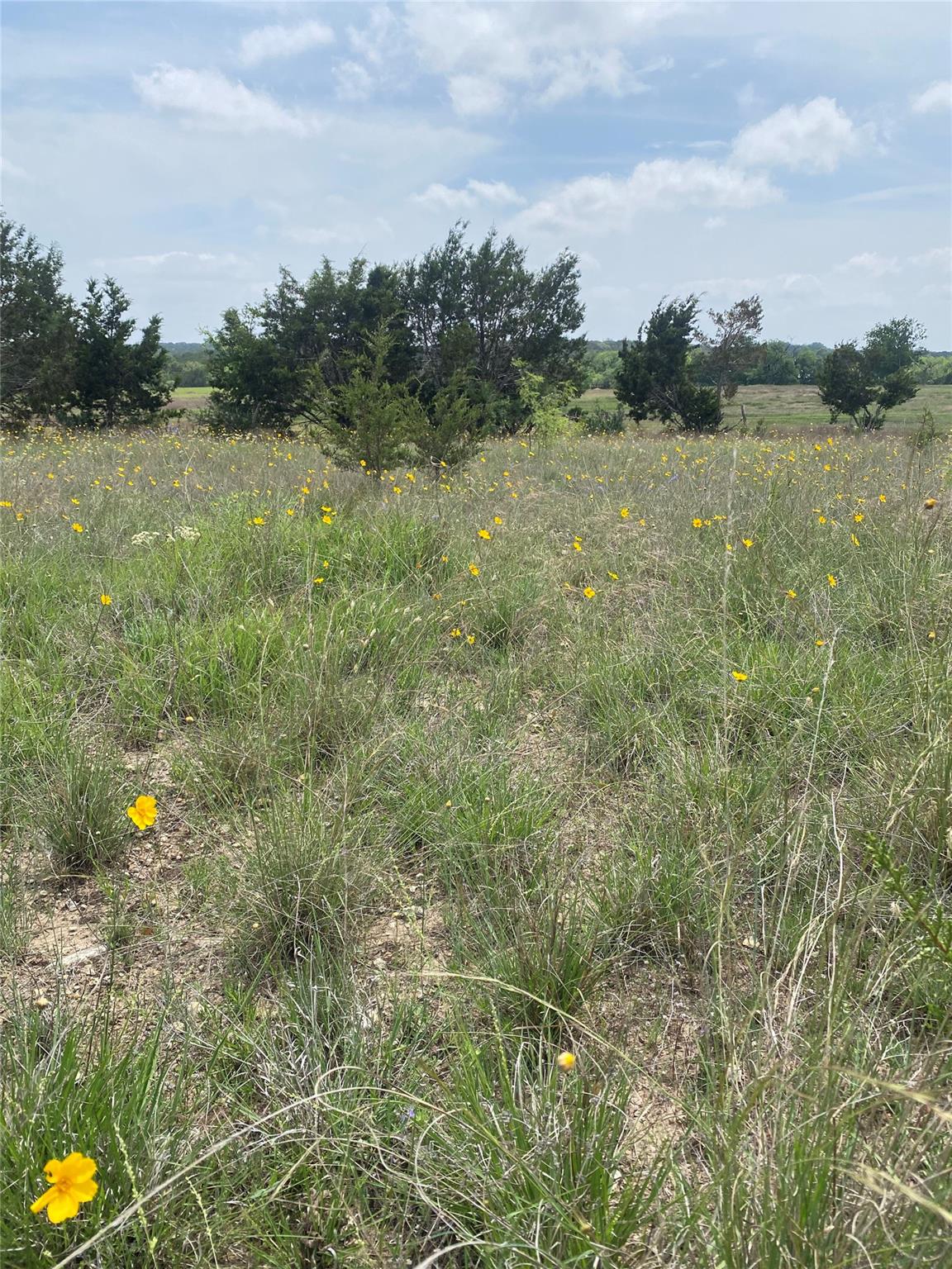 225 County Road 2227 Rd, Lampasas, TX 76550