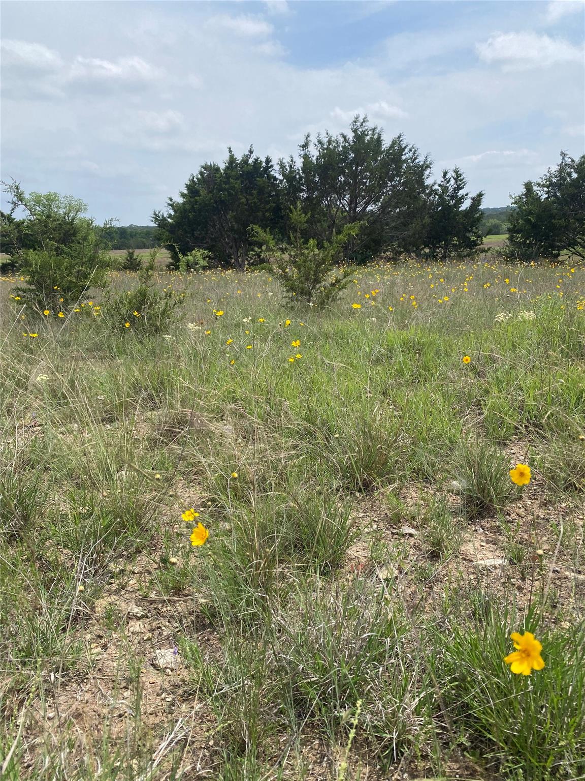 225 County Road 2227 Rd, Lampasas, TX 76550