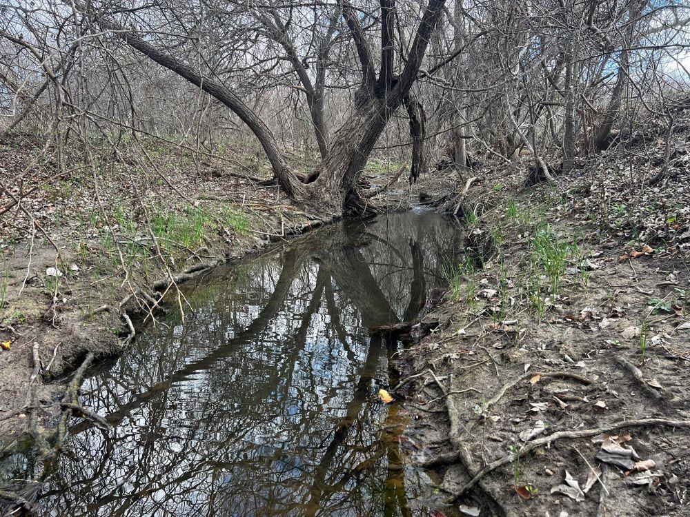 TBD County Road 196, Georgetown, TX 78626