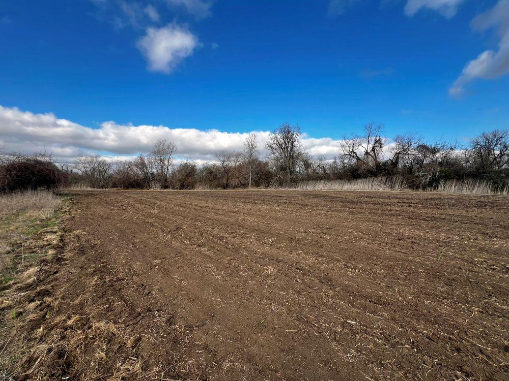 TBD County Road 196, Georgetown, TX 78626