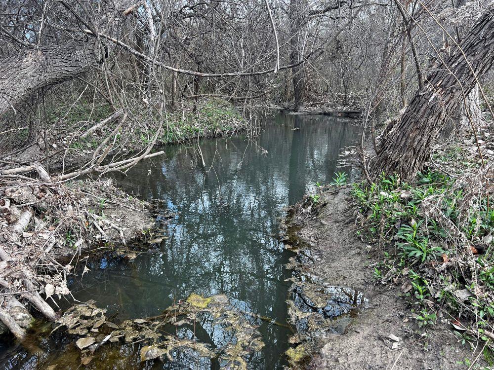 TBD County Road 196, Georgetown, TX 78626