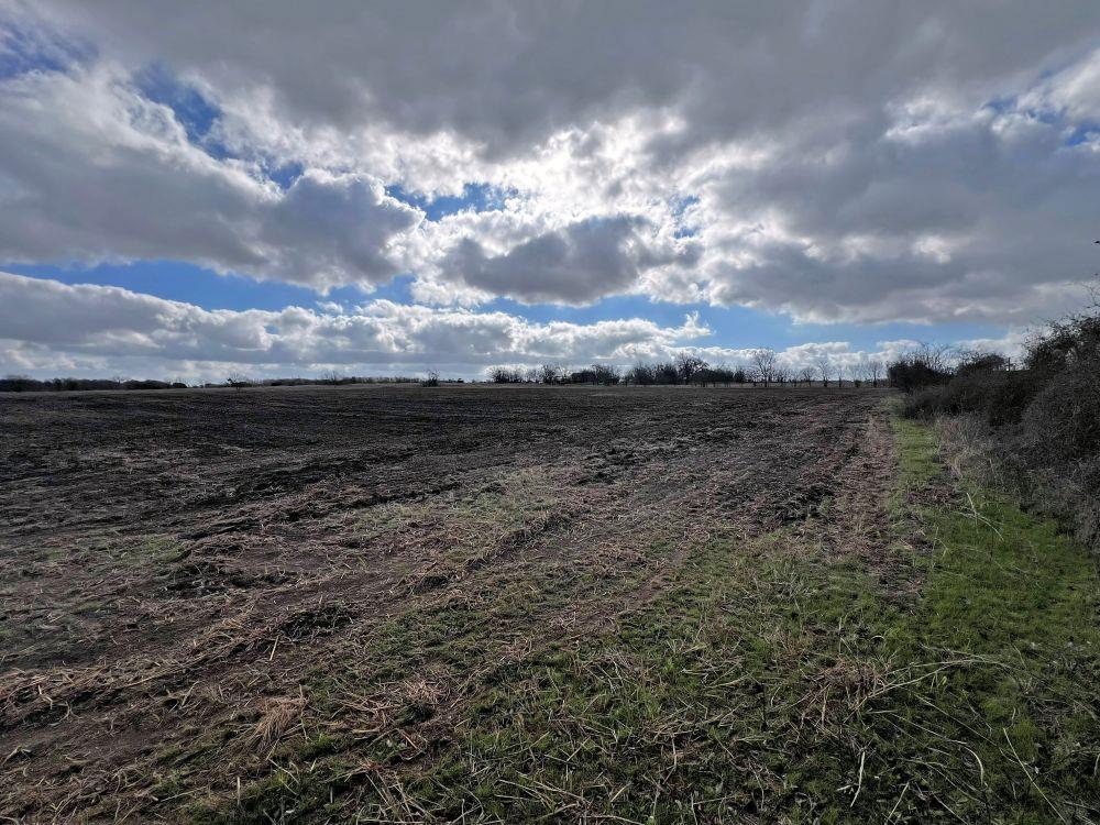 TBD County Road 196, Georgetown, TX 78626