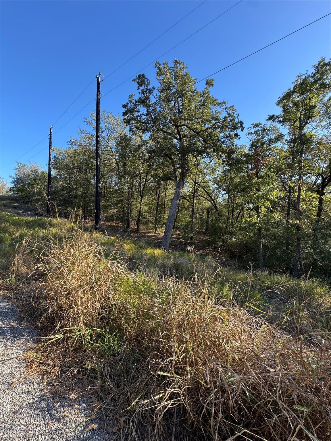 Lot 130 Wailupe Cir, Bastrop, TX 78602