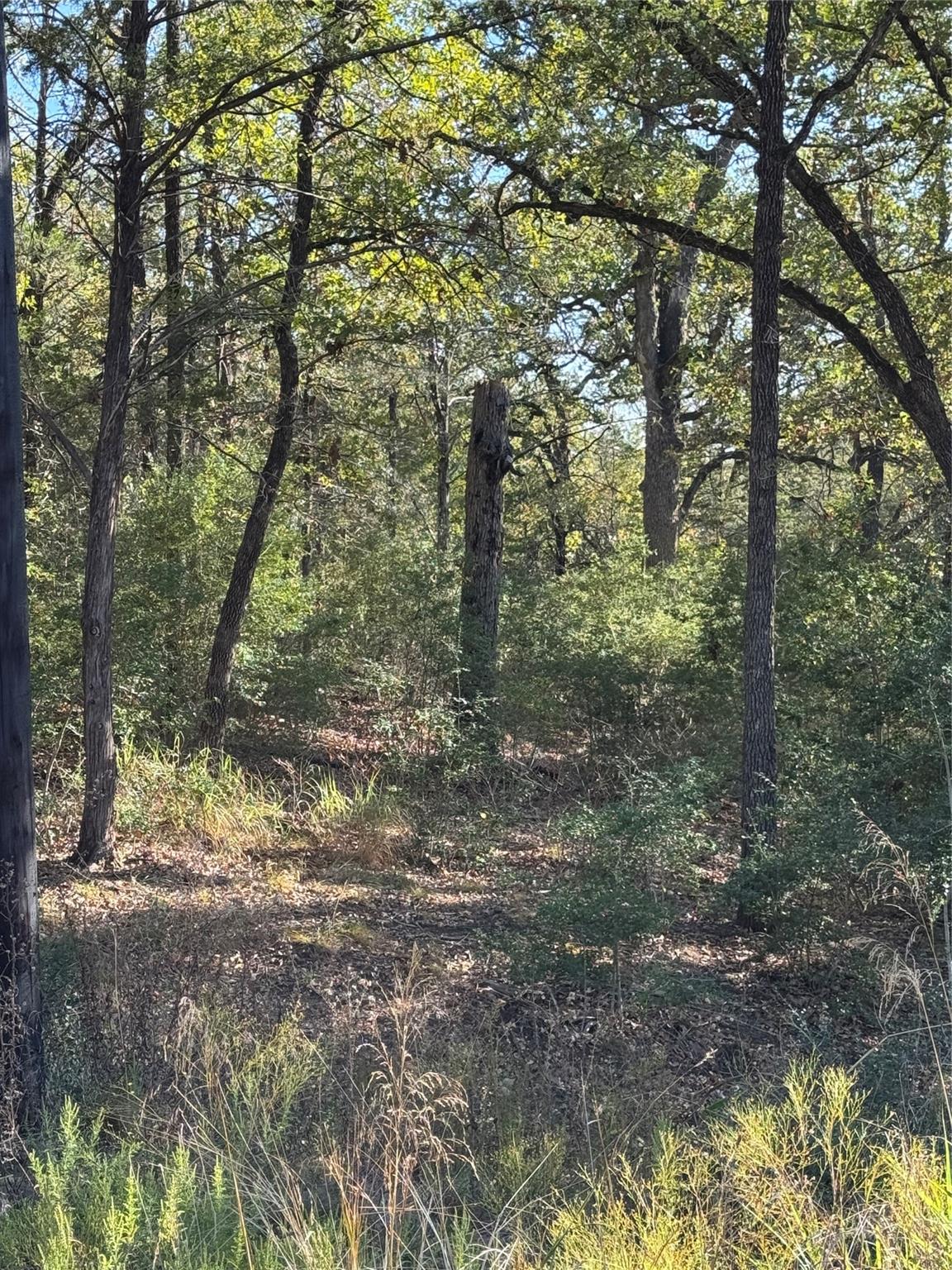 Lot 130 Wailupe Cir, Bastrop, TX 78602