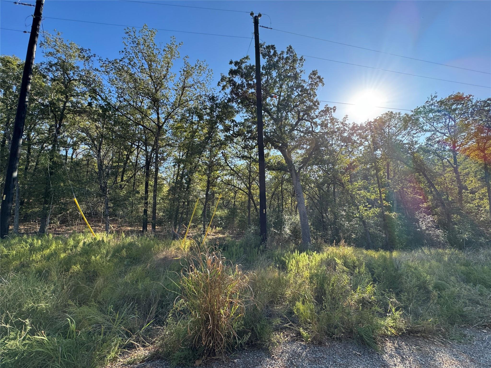 Lot 130 Wailupe Cir, Bastrop, TX 78602