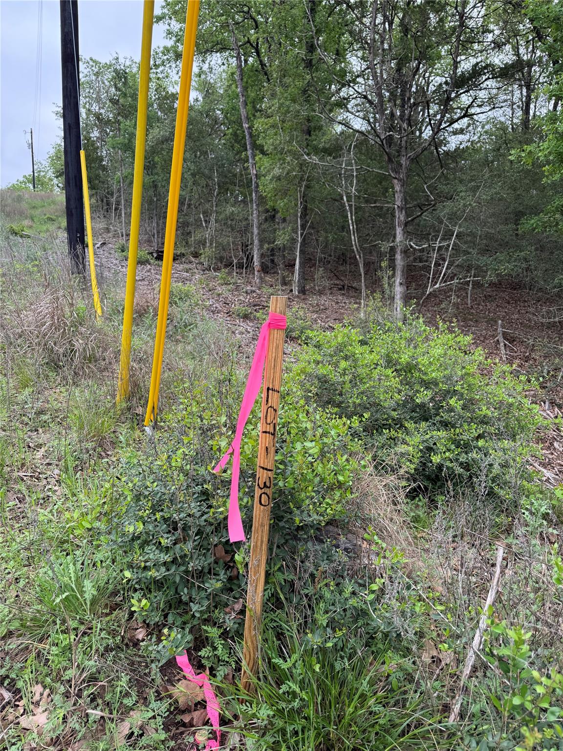 Lot 130 Wailupe Cir, Bastrop, TX 78602