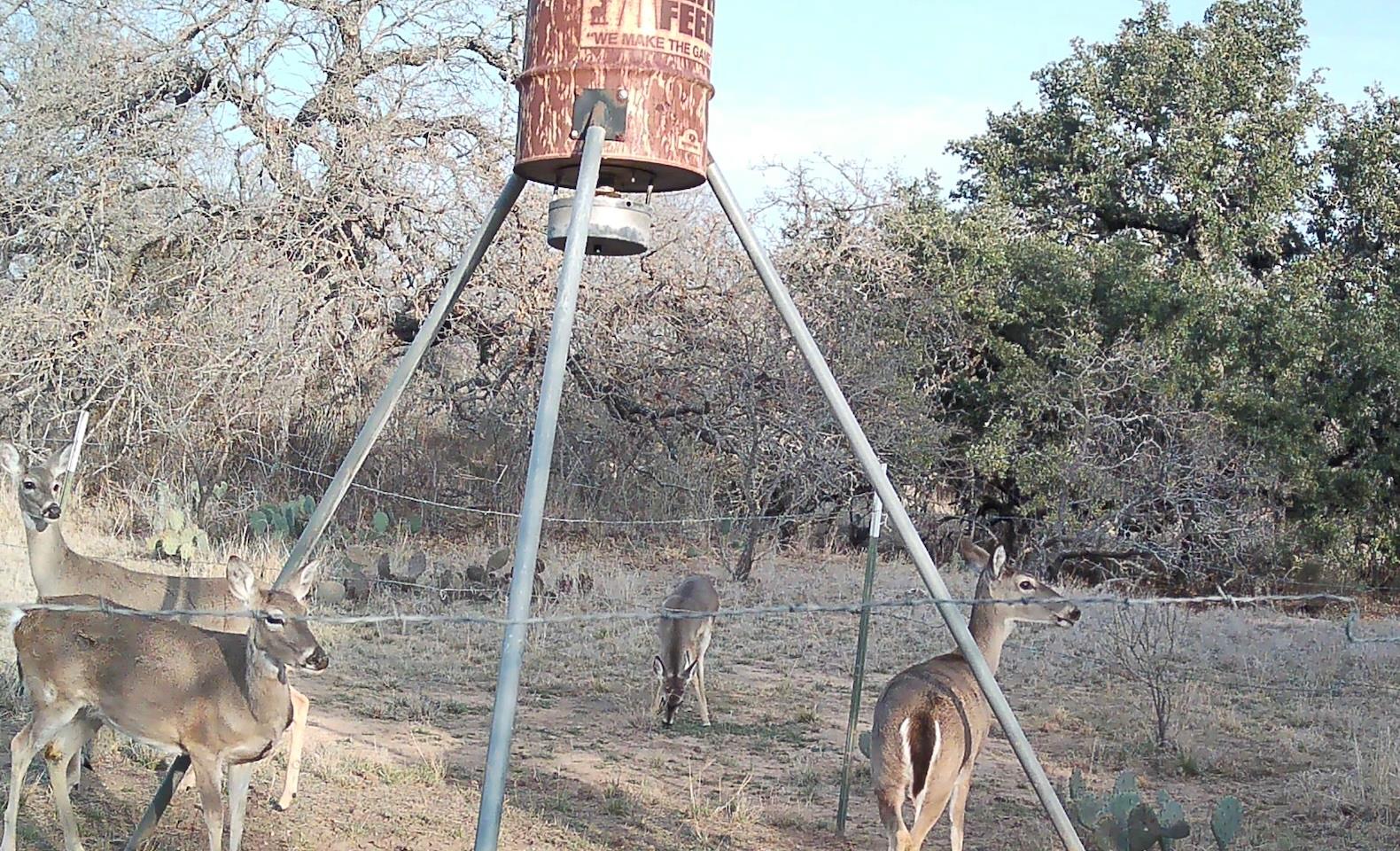 0 RR 152, Castell, TX 78643