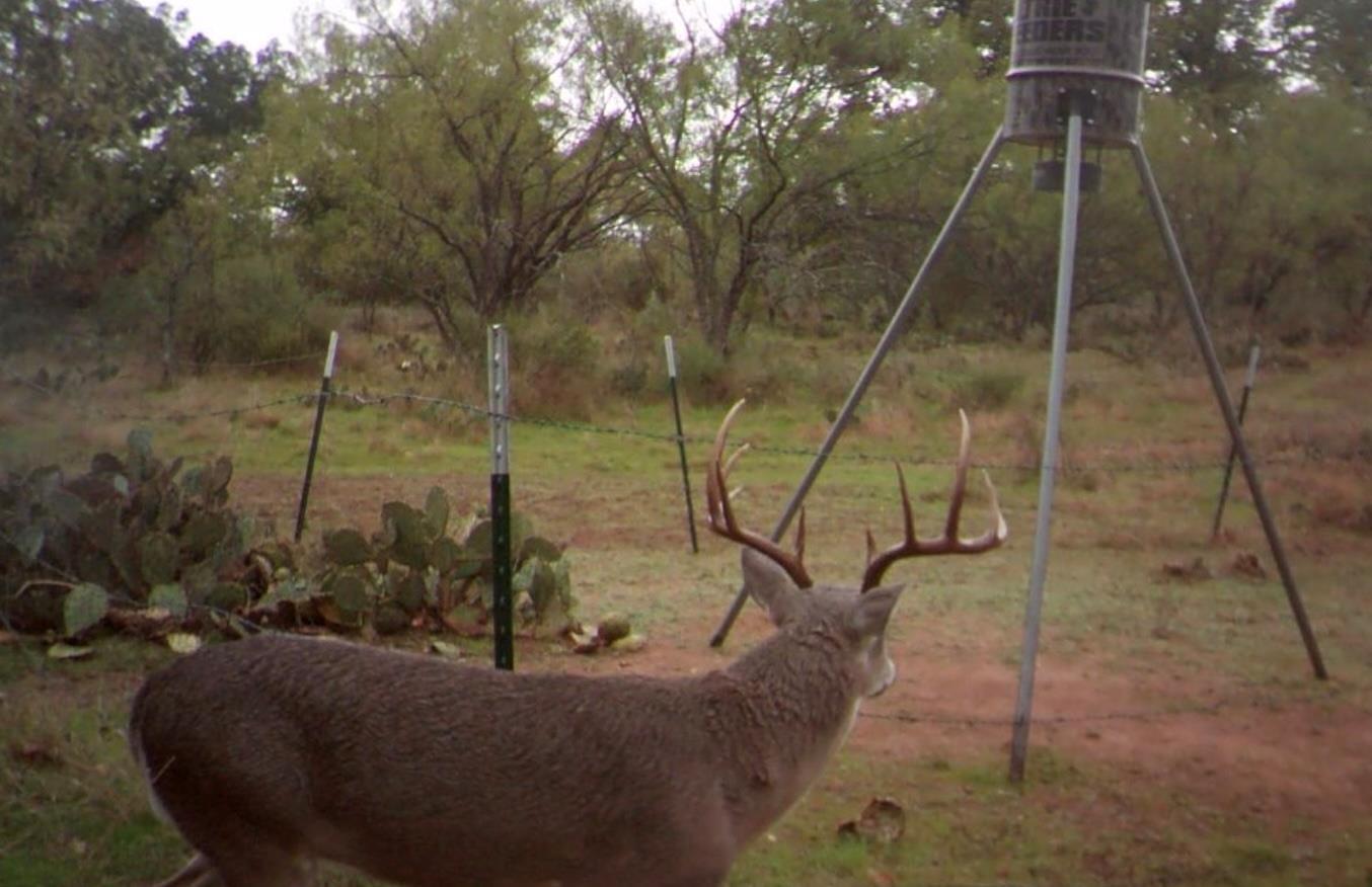 0 RR 152, Castell, TX 78643