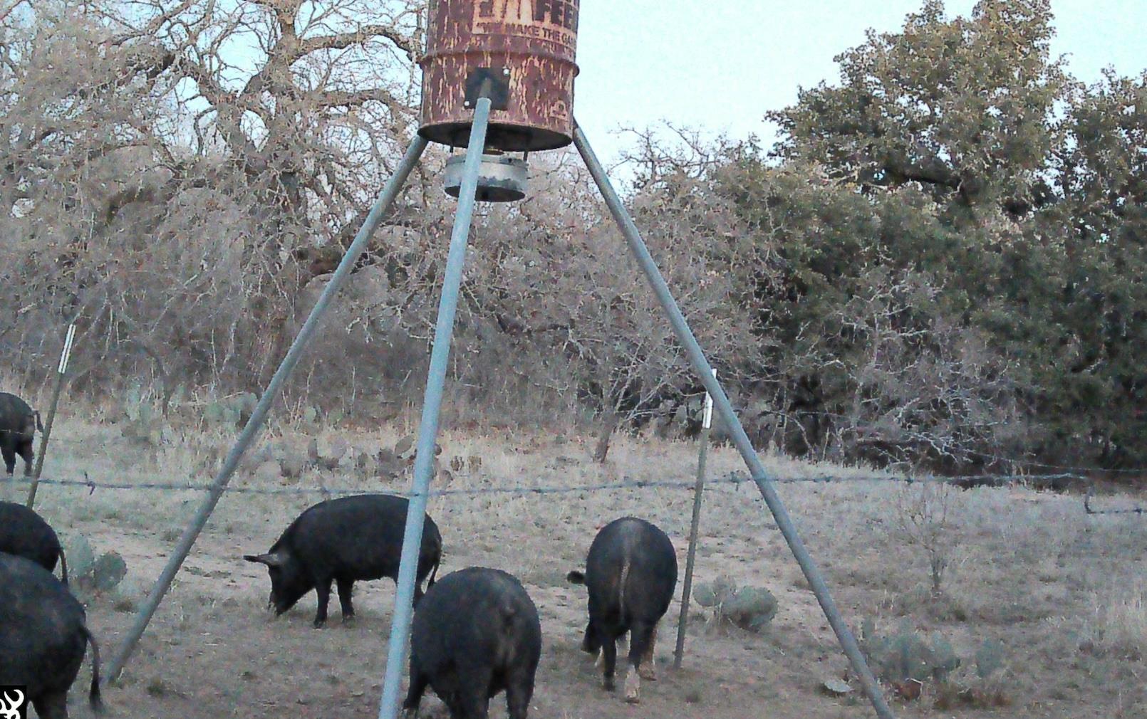 0 RR 152, Castell, TX 78643