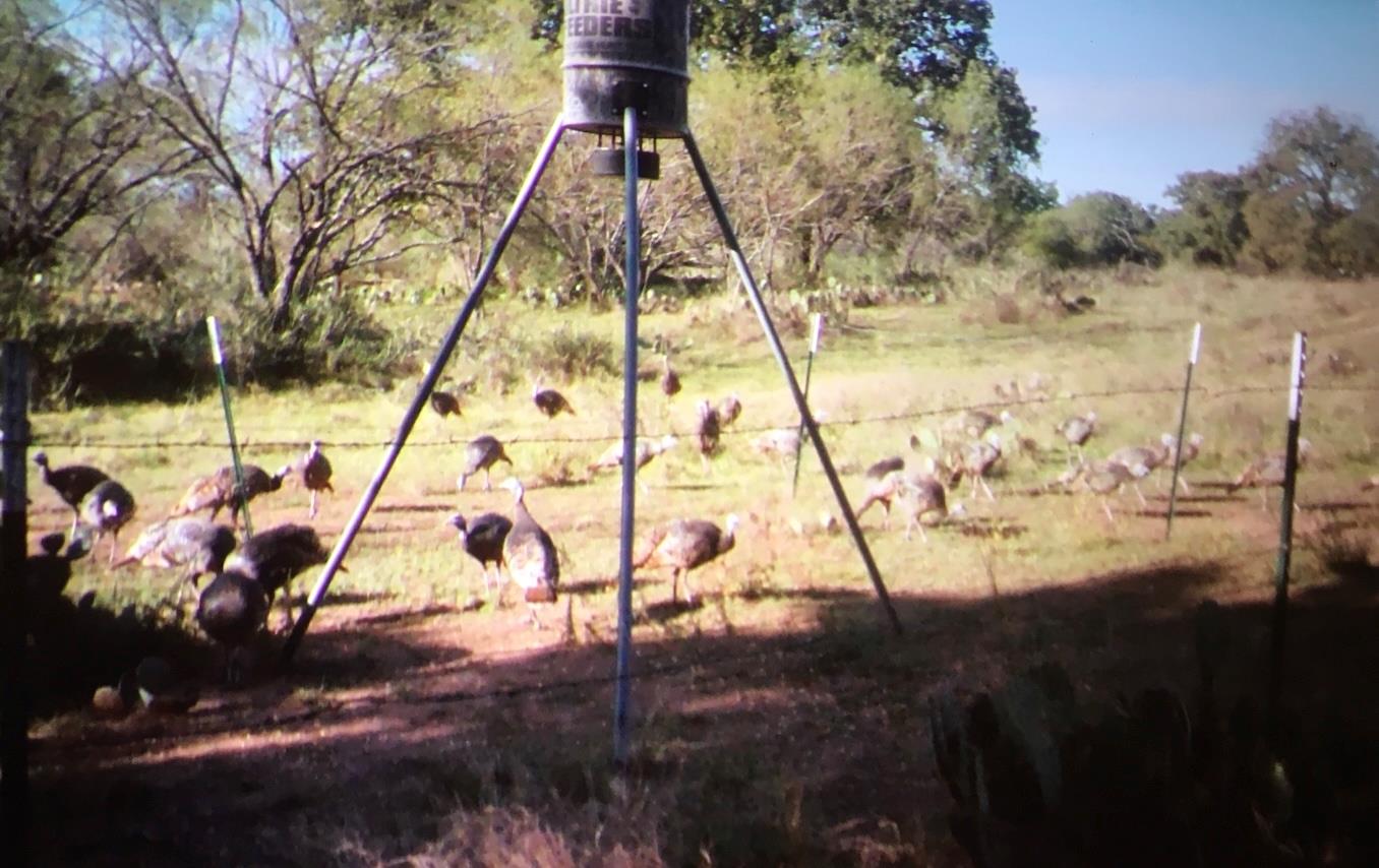 0 RR 152, Castell, TX 78643