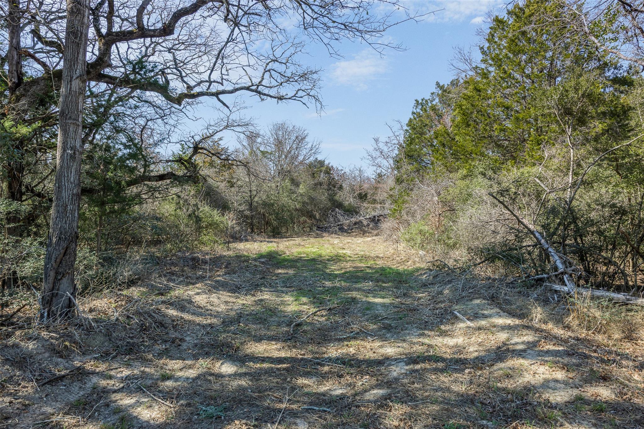 Lot 2 (4.81 Acres) Pauline Ln, Caldwell, TX 77836
