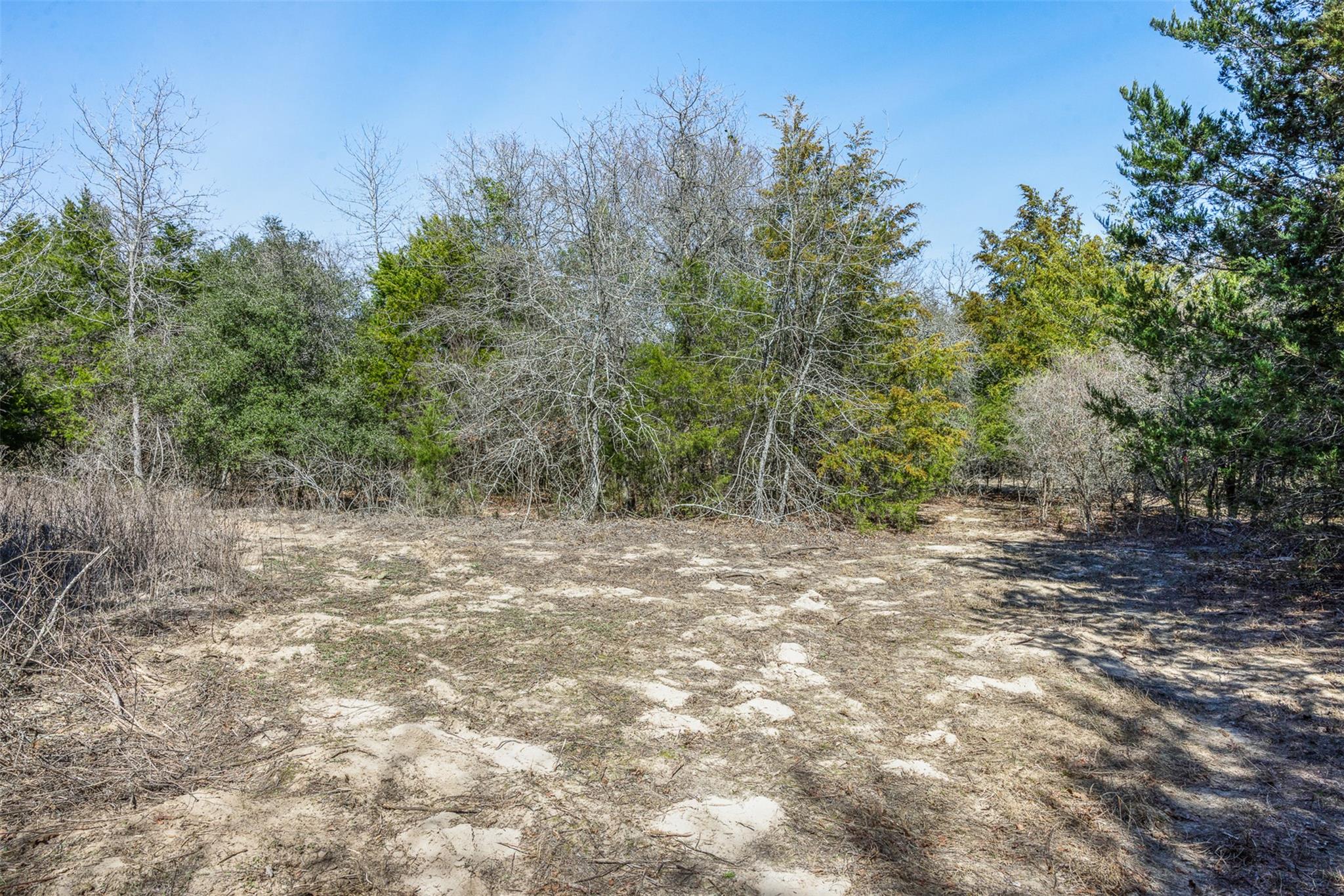Lot 2 (4.81 Acres) Pauline Ln, Caldwell, TX 77836