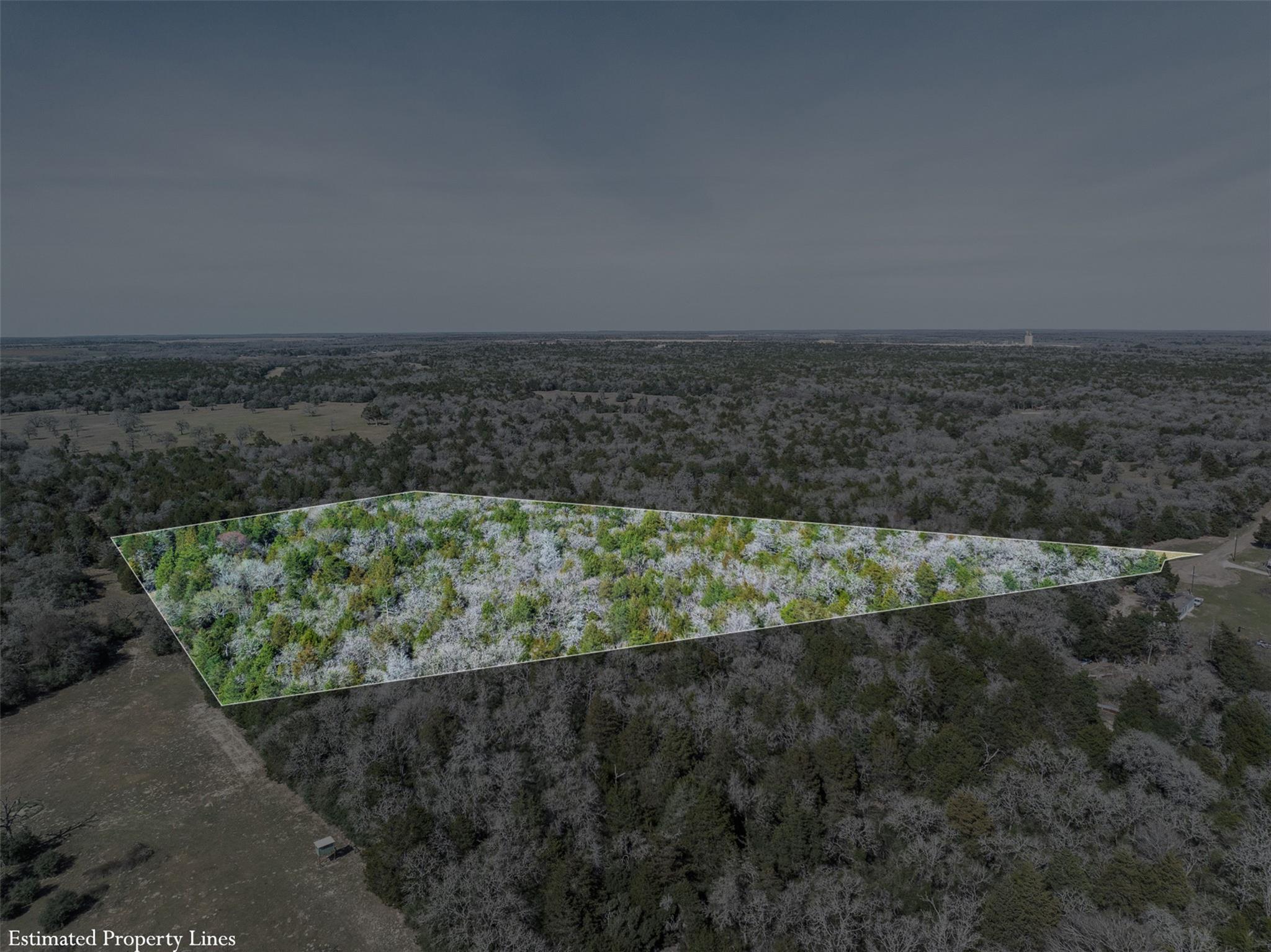 Lot 2 (4.81 Acres) Pauline Ln, Caldwell, TX 77836