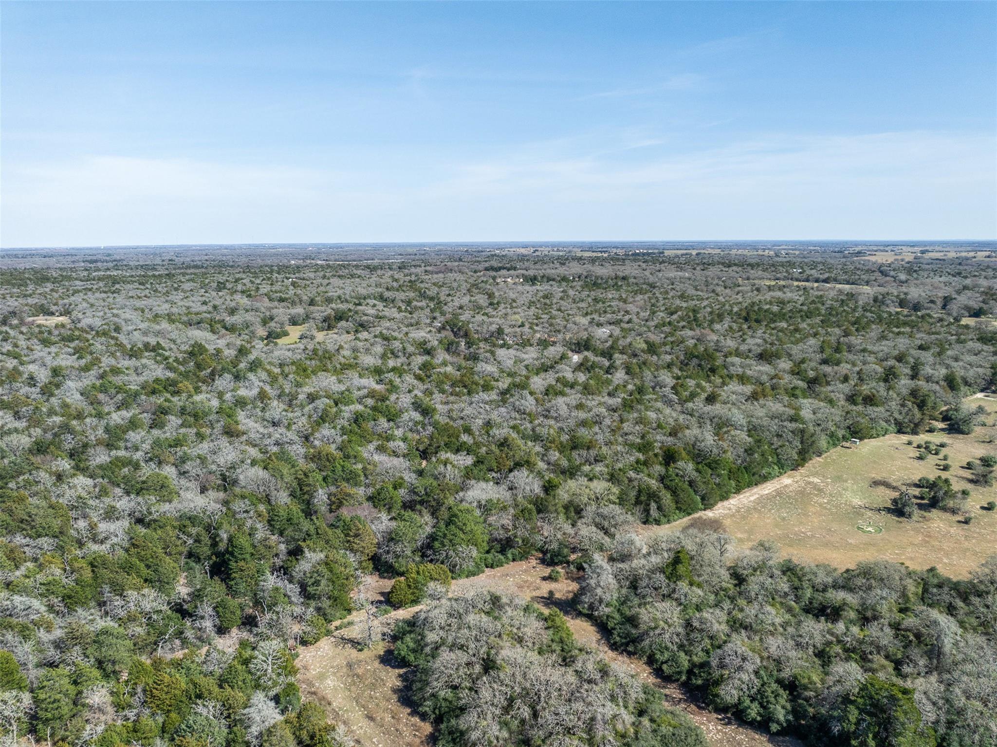 Lot 2 (4.81 Acres) Pauline Ln, Caldwell, TX 77836