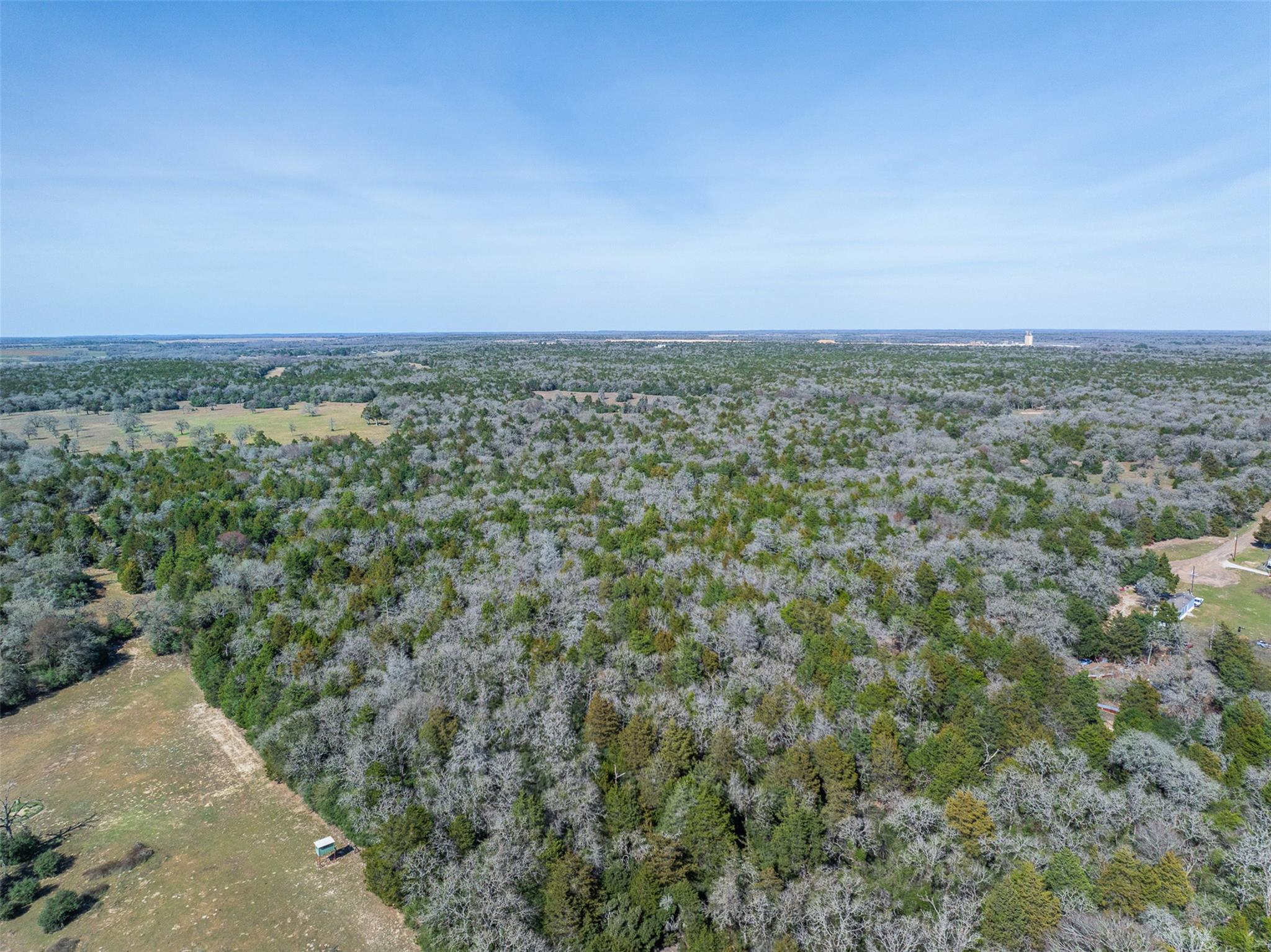 Lot 2 (4.81 Acres) Pauline Ln, Caldwell, TX 77836