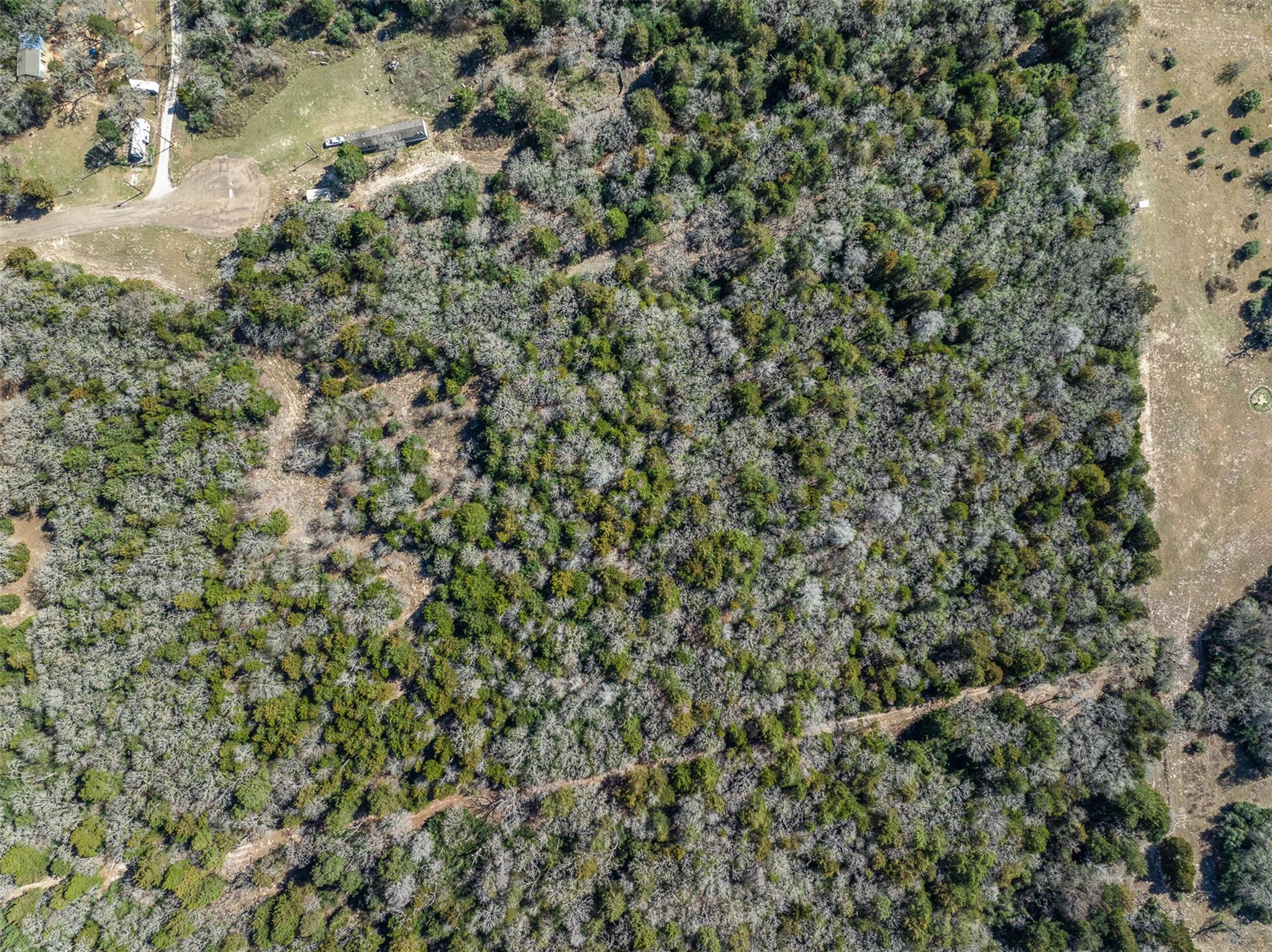 Lot 2 (4.81 Acres) Pauline Ln, Caldwell, TX 77836