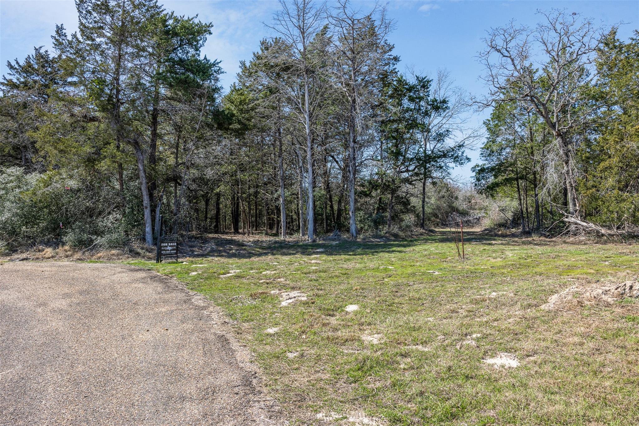 Lot 2 (4.81 Acres) Pauline Ln, Caldwell, TX 77836