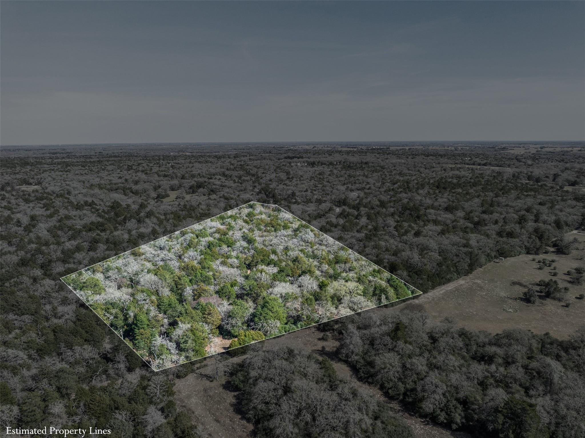 Lot 2 (4.81 Acres) Pauline Ln, Caldwell, TX 77836