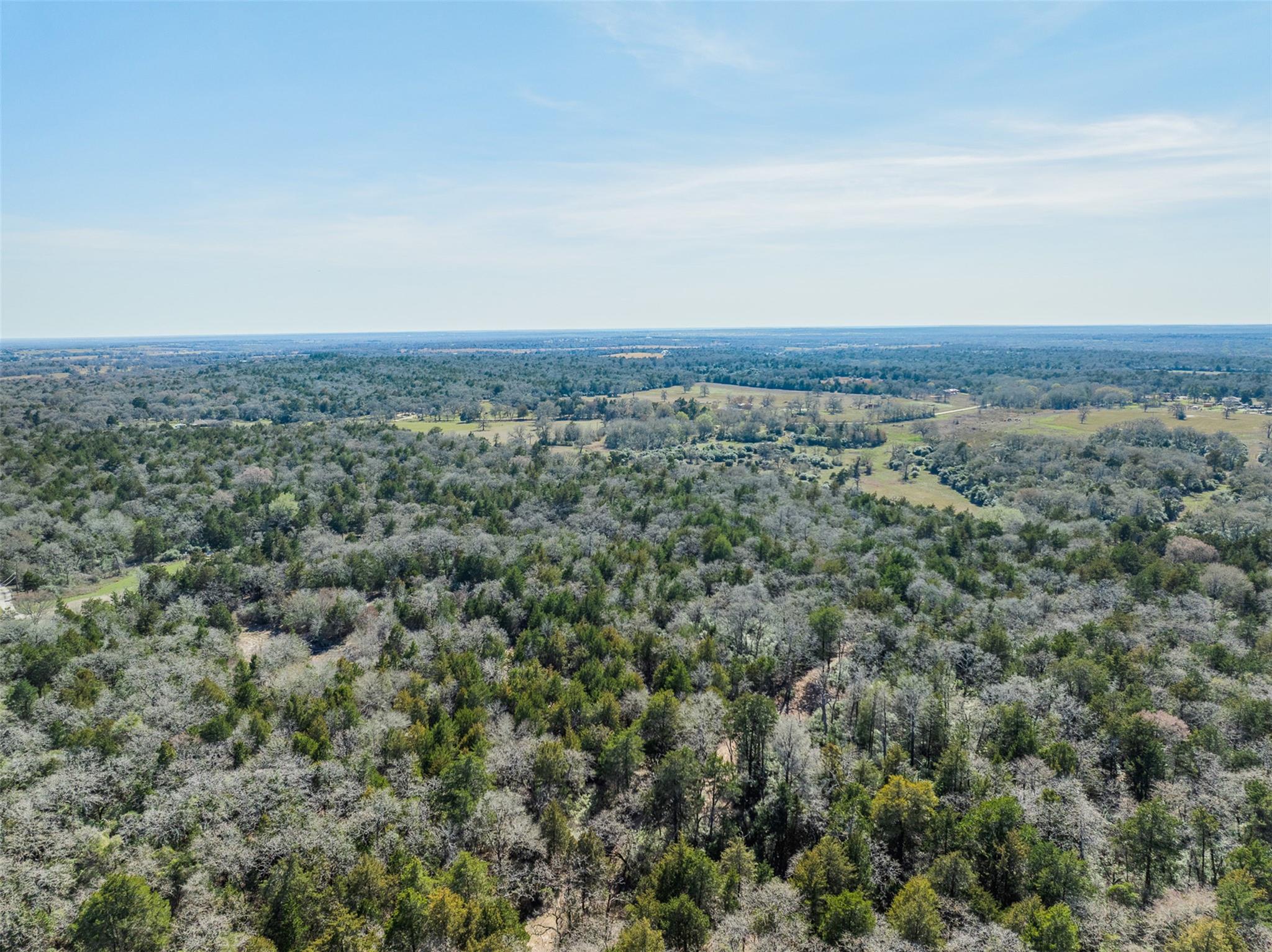 Lot 2 (4.81 Acres) Pauline Ln, Caldwell, TX 77836