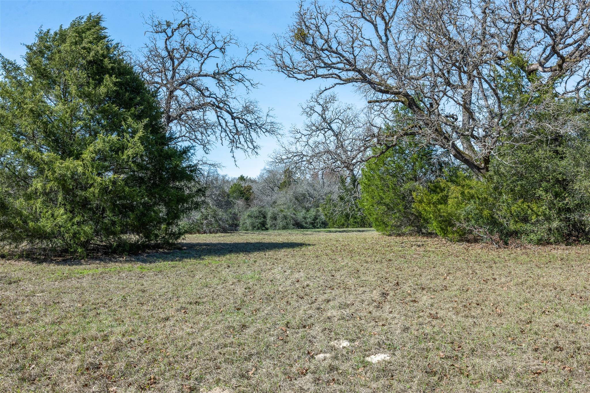 Lot 5 (2.74 Acres) Pauline Ln, Caldwell, TX 77836