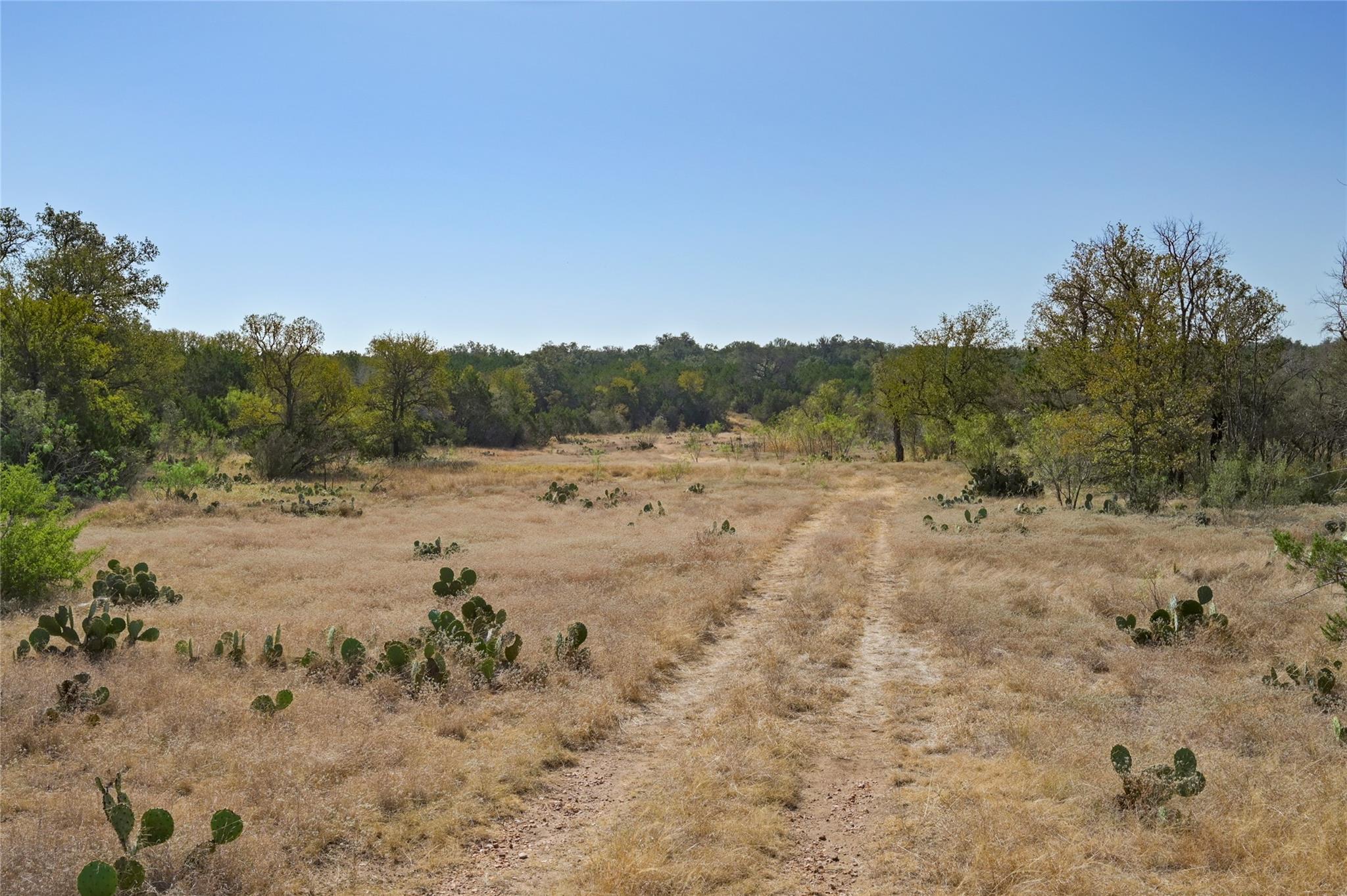 1033 Flying X Rd, Spicewood, TX 78669