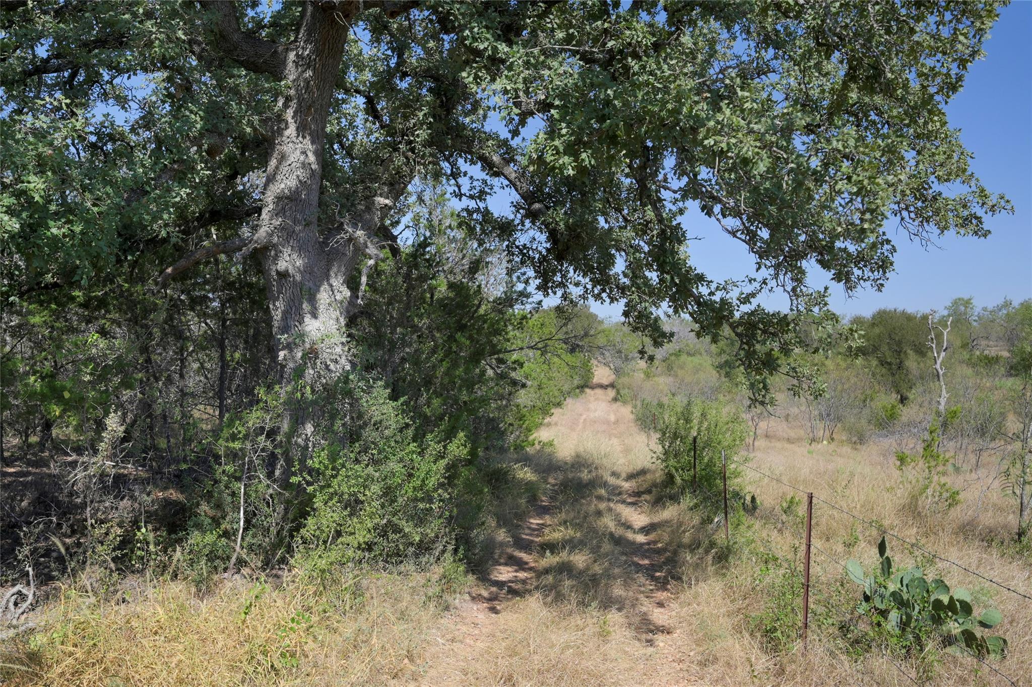 1033 Flying X Rd, Spicewood, TX 78669