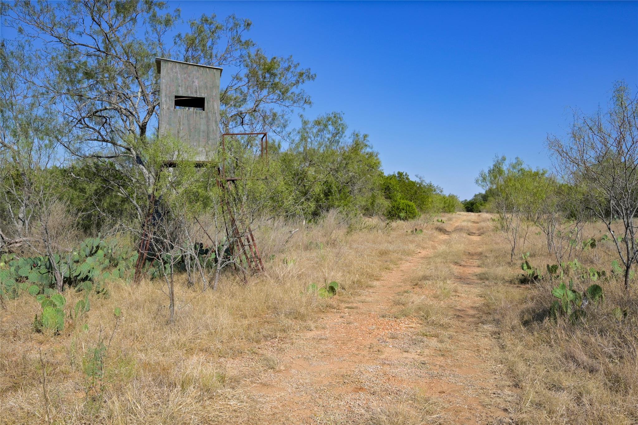 1033 Flying X Rd, Spicewood, TX 78669