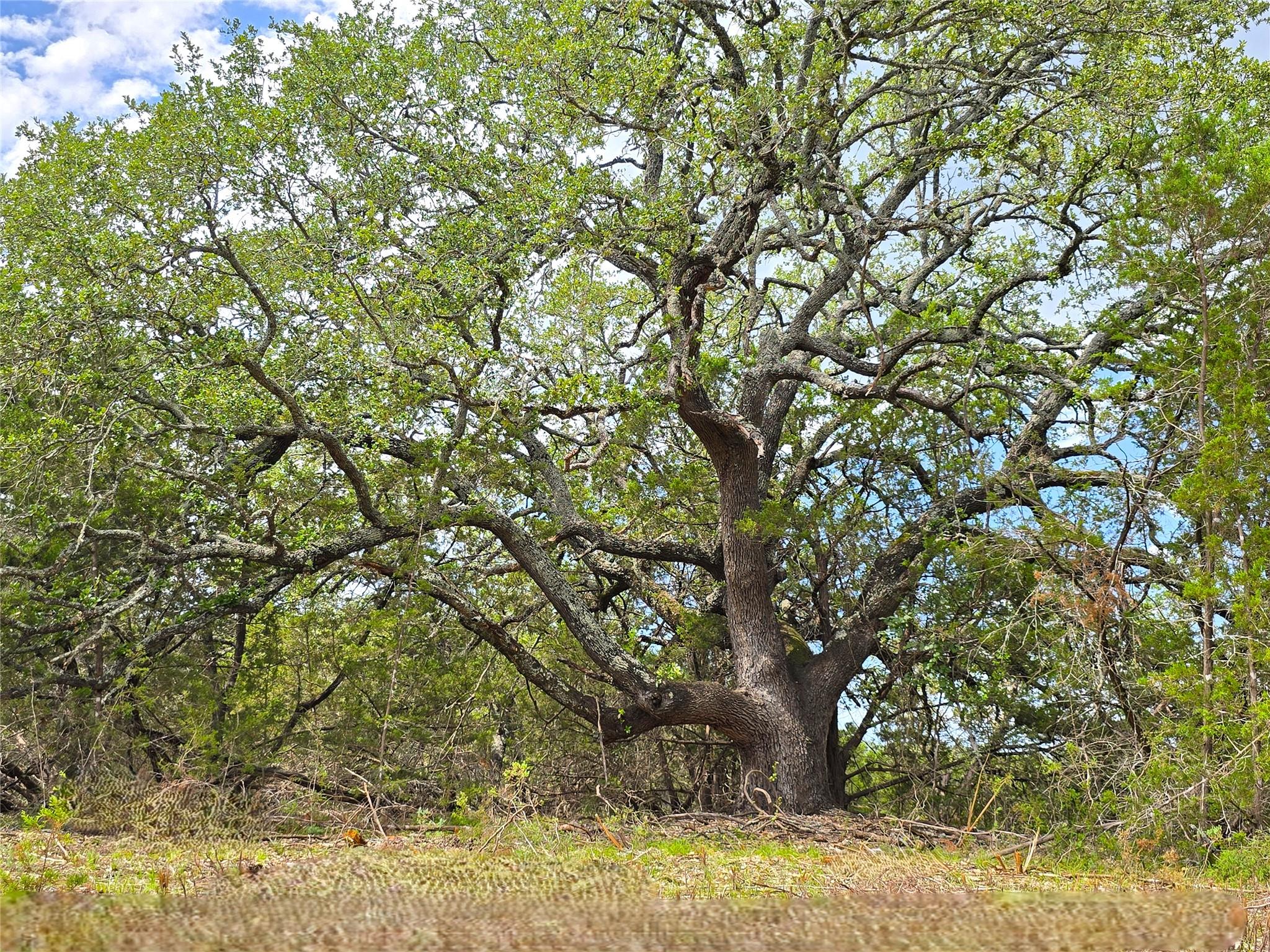 725 CR 206, Burnet, TX 78611