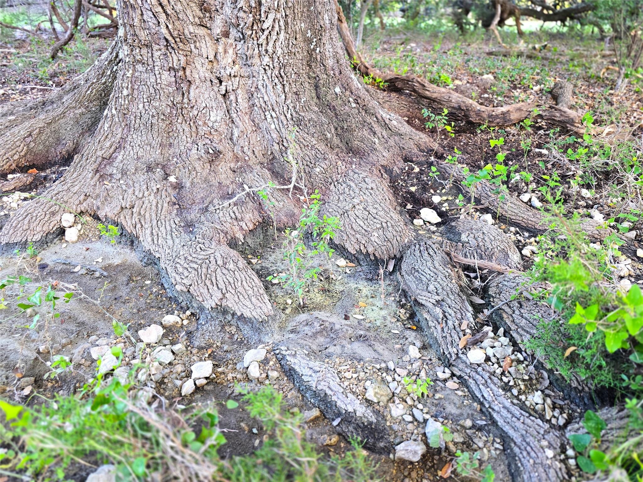 725 CR 206, Burnet, TX 78611