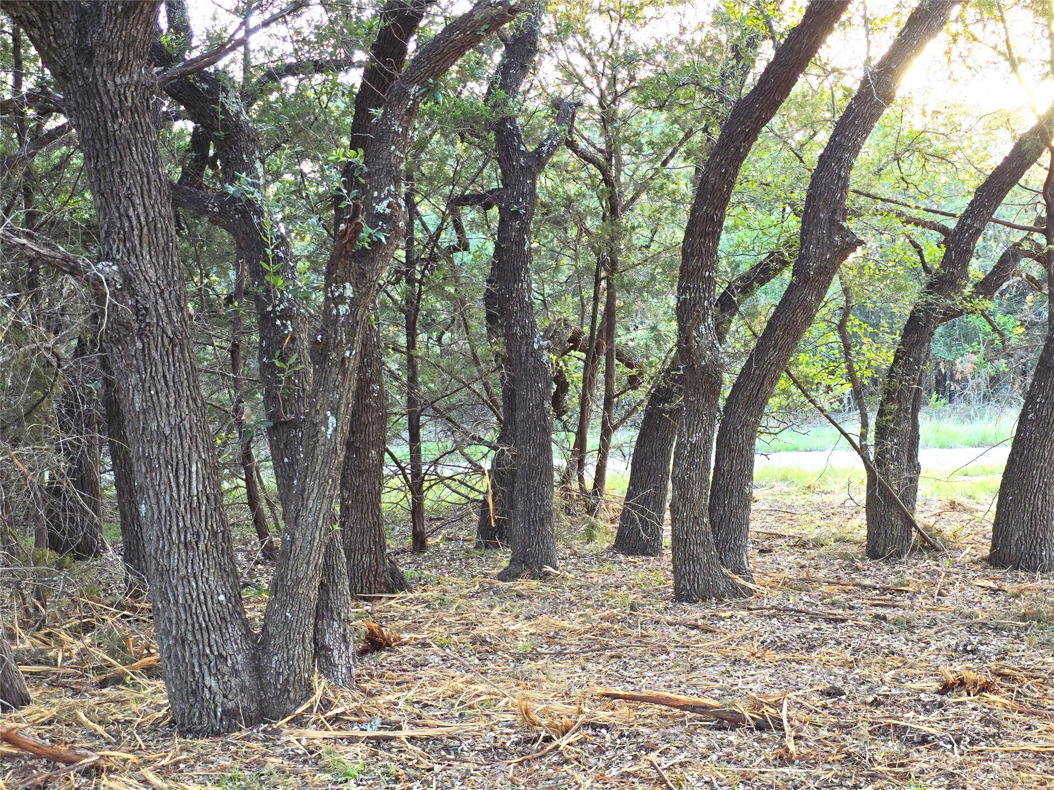 725 CR 206, Burnet, TX 78611