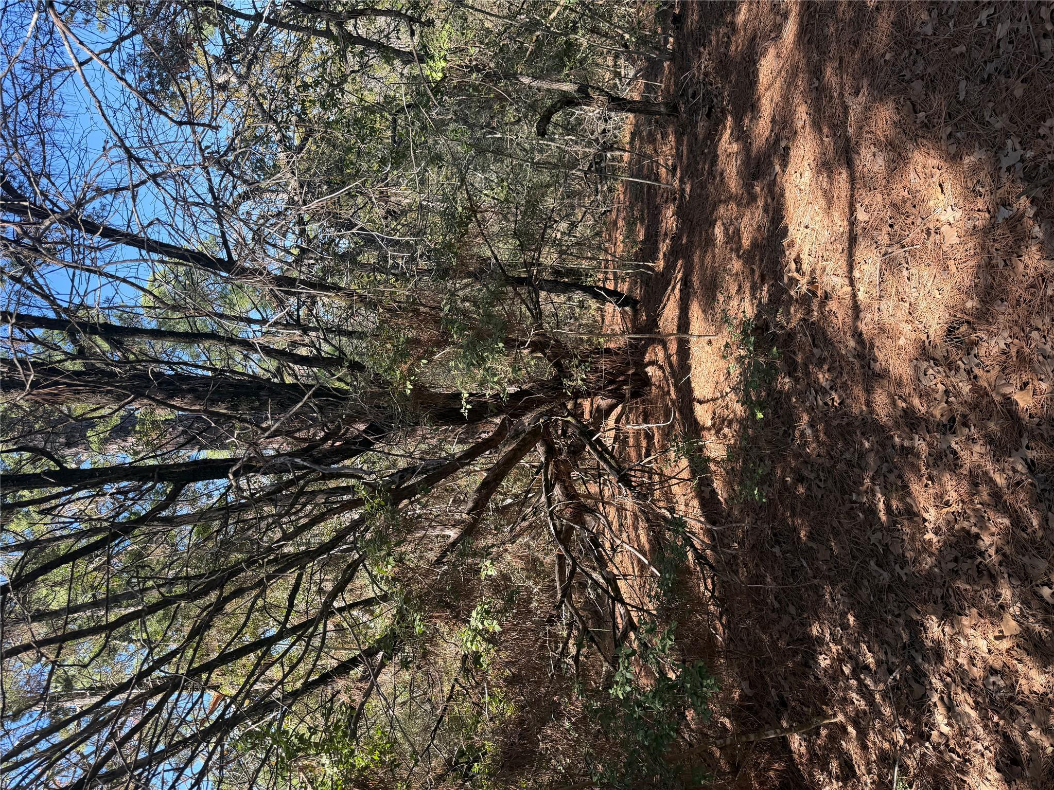 Lot 320 Keneka Ln, Bastrop, TX 78602