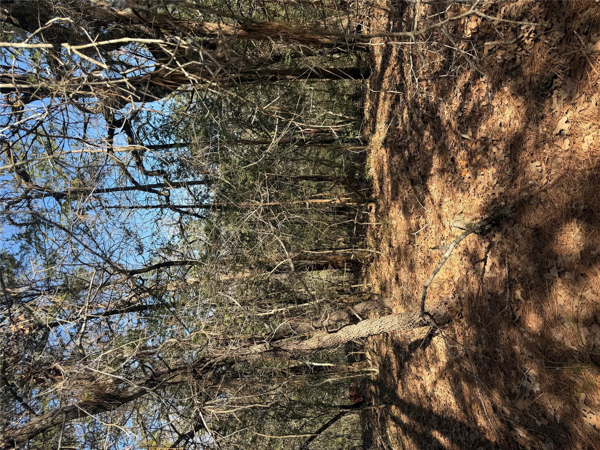 Lot 320 Keneka Ln, Bastrop, TX 78602