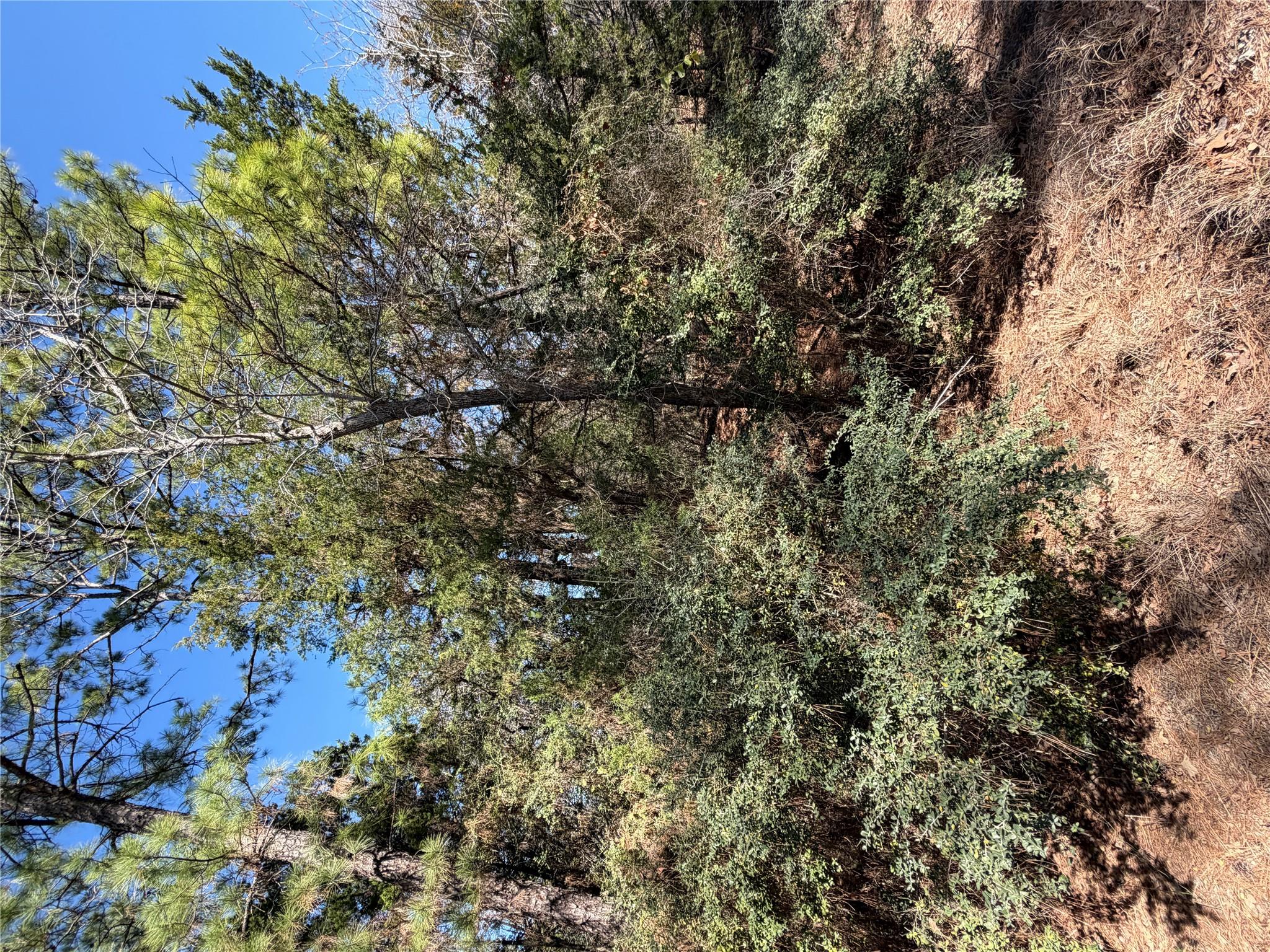 Lot 320 Keneka Ln, Bastrop, TX 78602